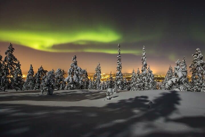 Midnight Sledge Ride to See the Northern Lights in Levi photo 5
