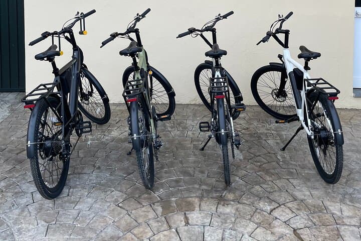 Ride the Strait: E‑Bike the Tarifa Coast & Baelo Claudia Ruins photo 6