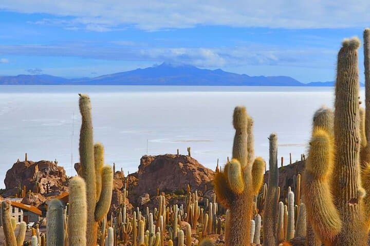From Puno to Uyuni: A 5-Day Salt-Flat Expedition Across Lake Titicaca and Andean Landscapes photo 2