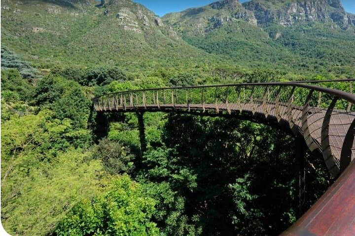 Kirstenbosch Gardens and Constantia Wine Tasting: Small-Group Day Trip from Cape Town photo 2