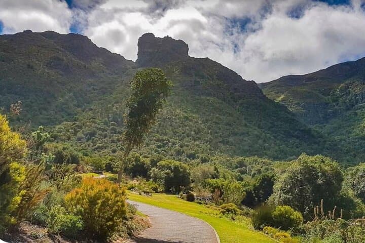 Kirstenbosch Gardens and Constantia Wine Tasting: Small-Group Day Trip from Cape Town photo 5