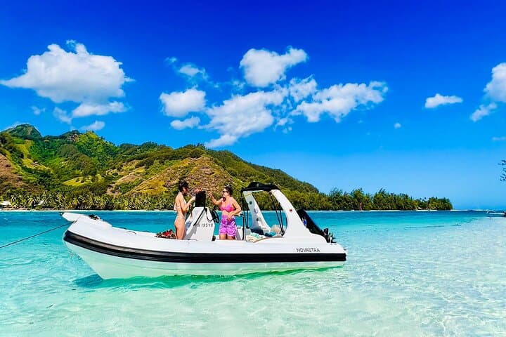 Moorea Private 4-Hour High-End Boat Excursion — Snorkel Rays, Sharks & Turtles photo 3