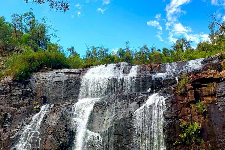 Grampians National Park Private Day Tour from Melbourne photo 2