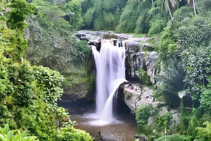 Private Half-Day Ubud Tour: Rice Terraces, Monkey Forest & Local Gems