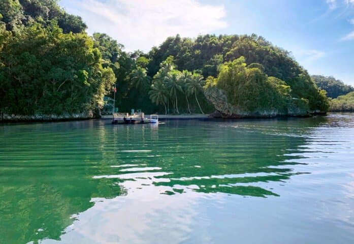 Los Haitises Boat Ride & Caño Hondo Natural Pools: Mangroves, Caves, and Criollo Lunch photo 3