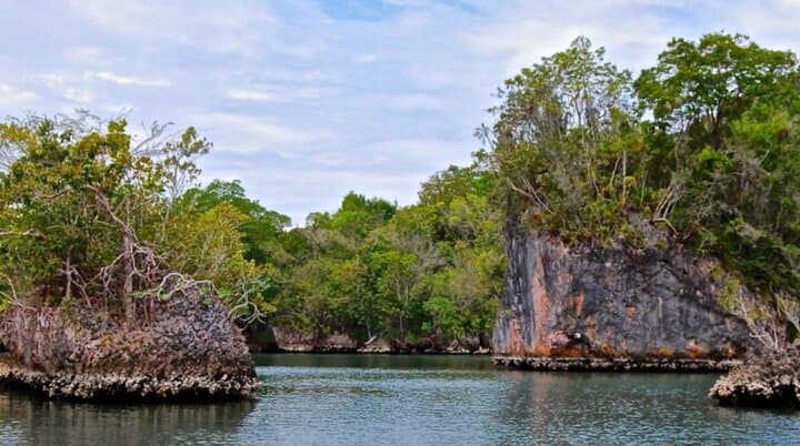 Los Haitises Boat Ride & Caño Hondo Natural Pools: Mangroves, Caves, and Criollo Lunch photo 2
