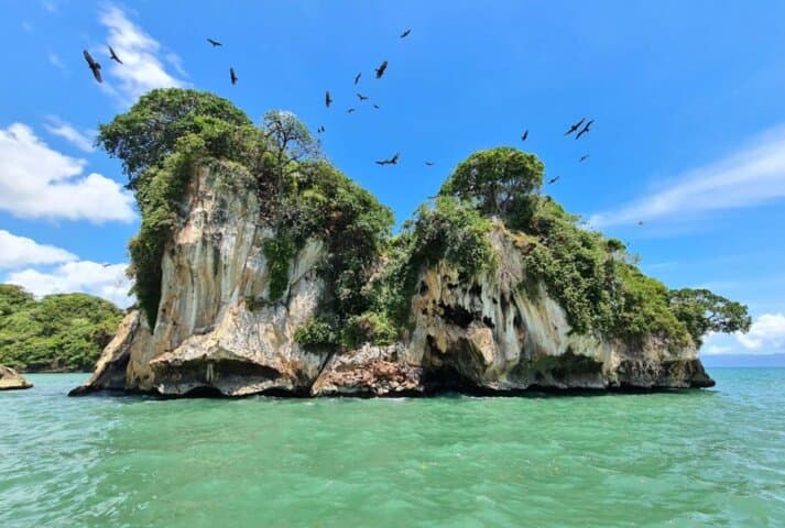 Los Haitises Boat Ride & Caño Hondo Natural Pools: Mangroves, Caves, and Criollo Lunch photo 4