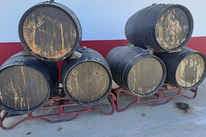 Arrábida Coastal Drive and Moscatel Tasting: Setúbal Day Tour