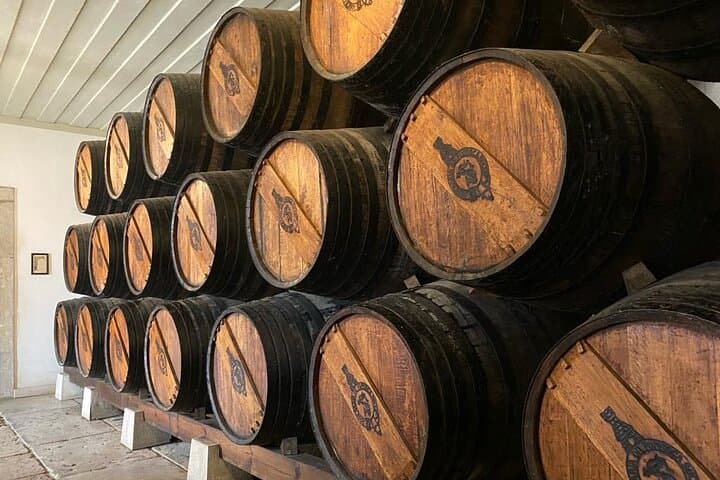 Arrábida Coastal Drive and Moscatel Tasting: Setúbal Day Tour photo 5