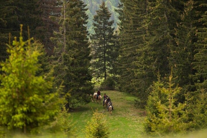 2-Day Horseback Riding in Romania's Carpathians — Bucegi & Leaota Trails photo 2