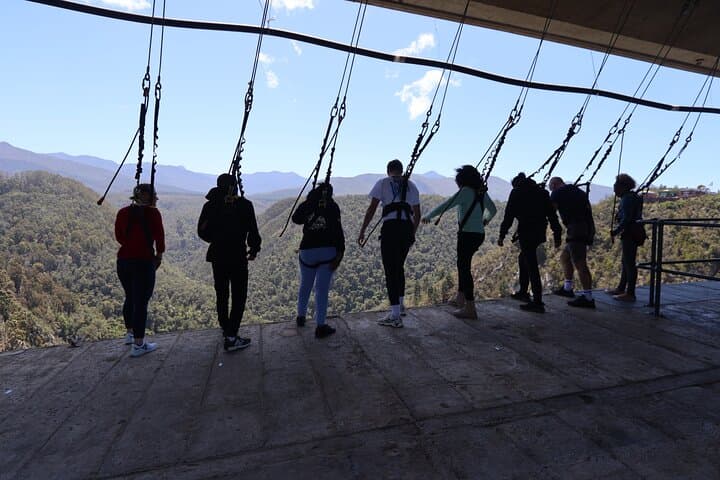Bloukrans Bridge Zipline, Hangout & SkyWalk Adventure — Thrill Without the Bungy photo 5