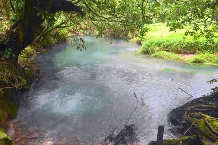 Rio Celeste Waterfall Tour — Tenorio Volcano National Park Guide photo 5