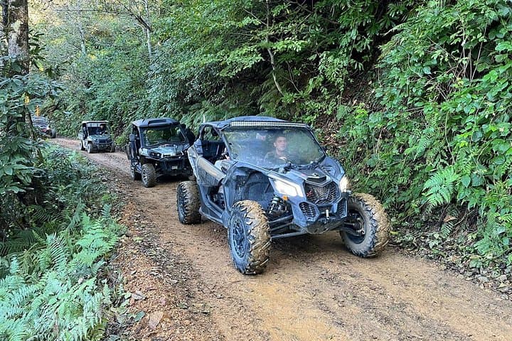 Mtirala ATV, Buggy & Horse Riding Adventure from Batumi: Jungle Routes & 600m Zipline photo 2