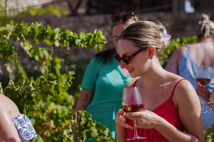 Malaga Organic Vineyard Wine Tour: 6-Wine Tasting & Tapas photo 6