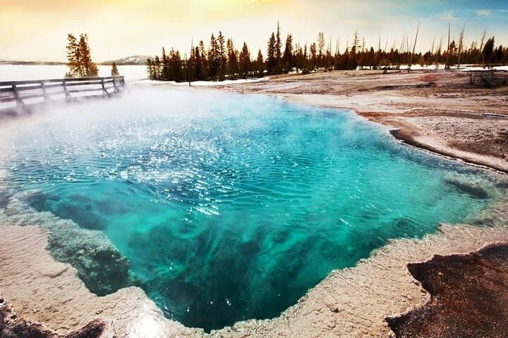 5-Day Small-Group Yellowstone & Grand Teton Cabin Tour from Salt Lake City photo 5
