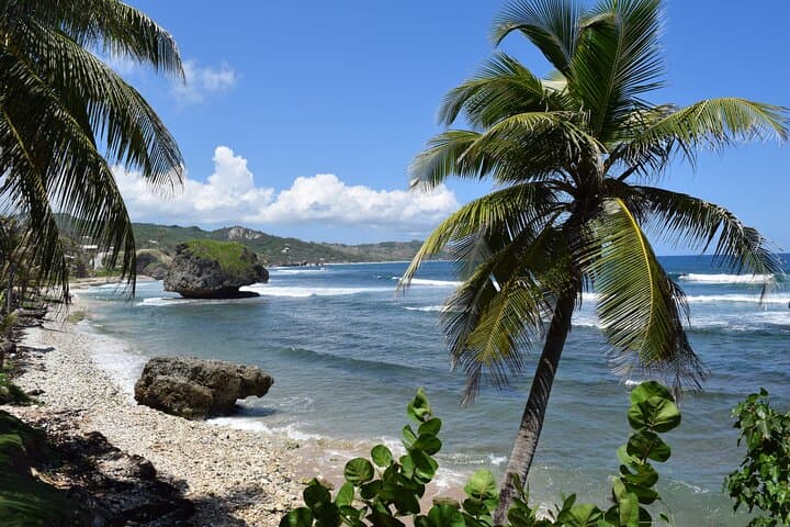 Beautiful Barbados Coastal Sightseeing Tour: Top Sights, Practical Tips & What to Expect photo 6