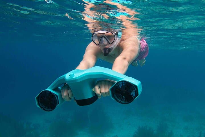 Private Half-Day REVOLVE Boat & Snorkeling Tour in Bonaire — Klein Bonaire & Coral Reefs photo 4
