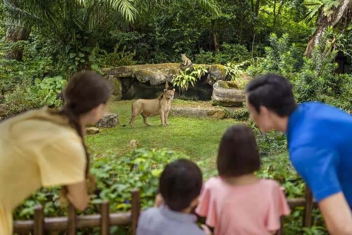 Singapore Zoo Tram Tour & Wildlife Encounters at Mandai Wildlife Reserve
