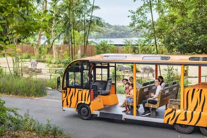 Singapore Zoo Tram Tour & Wildlife Encounters at Mandai Wildlife Reserve photo 6