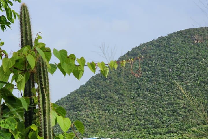 Sunrise Hike to Petite Cayes: Anse Marcel Coastal Trail photo 2