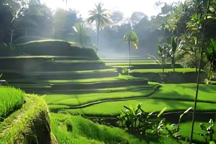 10-Day Best of Bali, Gili & Nusa Penida Island Adventure photo 6