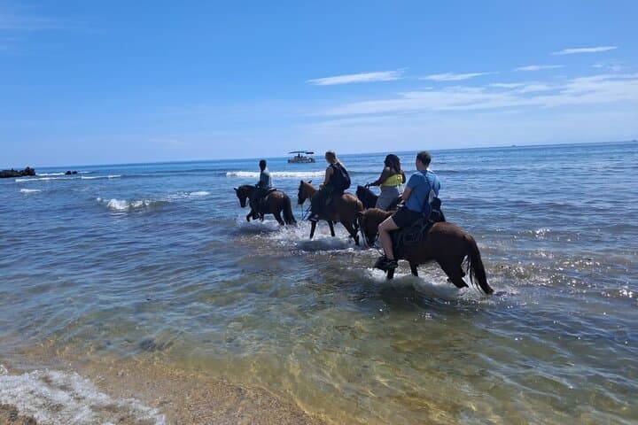 Roatán Half-Day: Zipline, Sanctuary, Horseback Ride & West Bay Snorkel photo 4