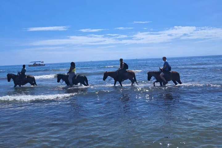 Roatán Half-Day: Zipline, Sanctuary, Horseback Ride & West Bay Snorkel photo 3