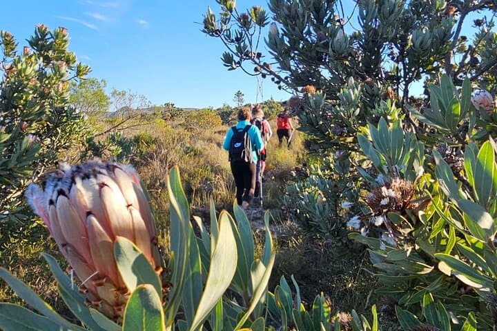 Fossil Hills Wine Walk: McGregor Valley Hike, Fossils & Wine Tasting photo 2