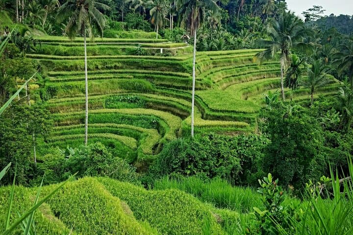 Bali Lempuyang Temple, Waterfall & Rice Terrace Private Tour from Ubud photo 3