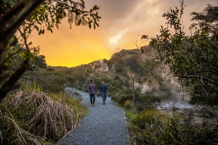 Half-Day Waimangu Volcanic Valley Walk from Rotorua — Frying Pan Lake & Inferno Crater photo 2