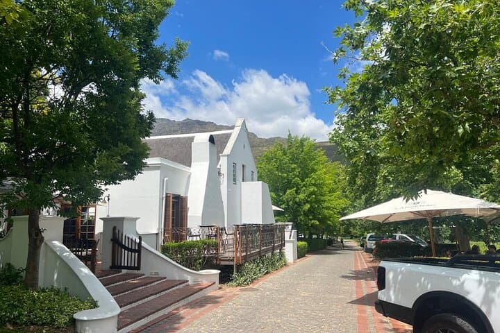Cape Town Giraffe & Cheetah Encounter with Cape Winelands Wine Tour photo 4
