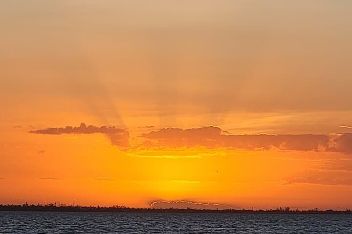 Fort Myers Beach Sunset and Dolphin Watching Cruise — Sanibel Causeway Dolphin Tour photo 4