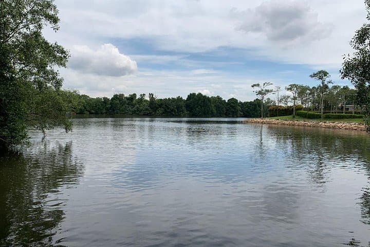 Puteri Harbour Brooklyn Cruise — Johor Bahru Straits, Kelong & Mangrove Wildlife photo 3