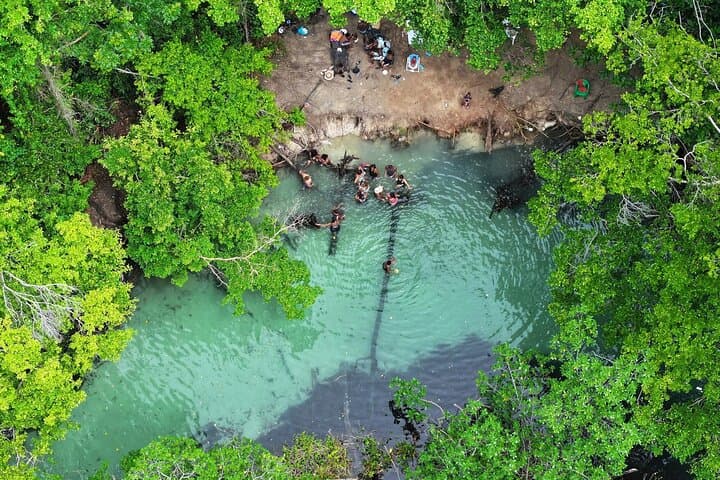 Samana Half-Day Countryside Adventure: Playa Rincón & Caño Frío River