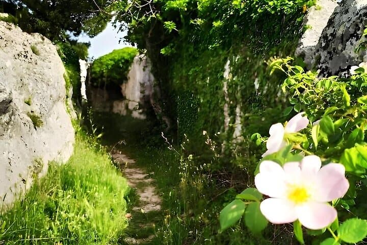 Explore Murgia Materana: Neolithic Caves, Rock Churches & Gravina Views photo 6