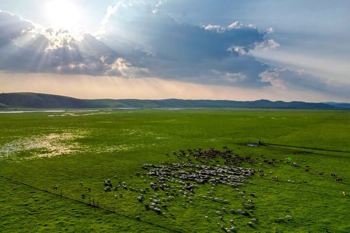 Hulun Buir Prairie 3-Day Private Grassland Tour: Morigele River, Enhe & Manzhouli photo 6