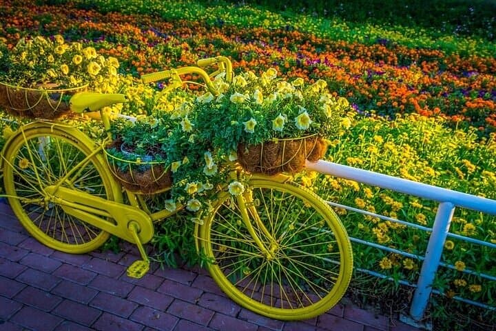 Dubai Miracle Garden: Skip-the-Drive Tickets with Optional Hotel Pickup photo 6