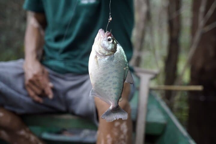 3-Day Yanayacu Jungle Camping: Iquitos Amazon Adventure photo 2