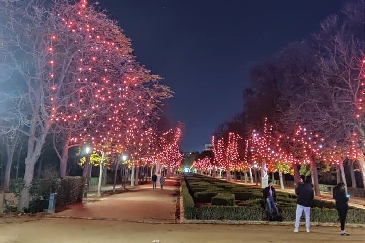 Magical Madrid Christmas Lights E-Bike Tour: Evening Ride Through Illuminated Landmarks photo 5