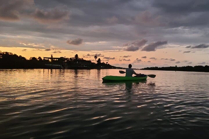Sunset Glow Kayak Tour on Mosquito Lagoon: Night Kayaking with Biologists photo 6