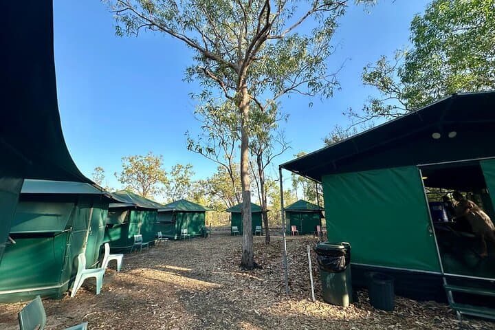 Slow-Travel Kakadu, Katherine and Litchfield: 4-Day Top End Adventure photo 5