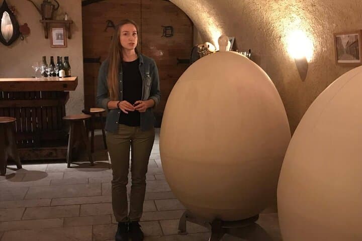 Beaujolais Half-Day Wine Tasting Tour from Lyon — Château de Pizay & Family Cellar photo 6