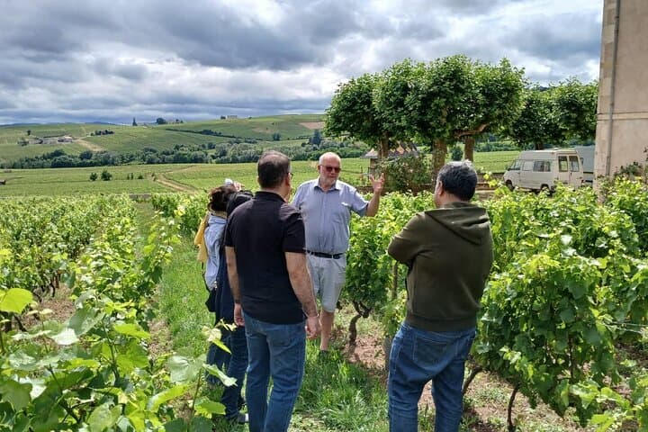 Beaujolais Half-Day Wine Tasting Tour from Lyon — Château de Pizay & Family Cellar photo 2