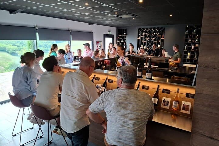 Beaujolais Half-Day Wine Tasting Tour from Lyon — Château de Pizay & Family Cellar