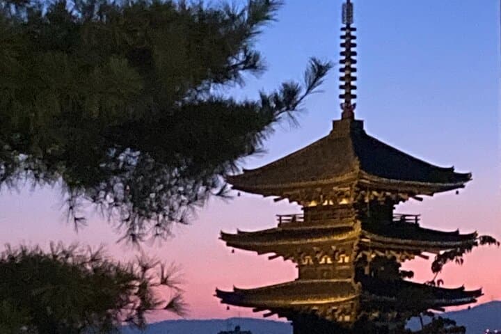 Custom Private Kyoto Tour: Expert Local Guide for Half- or Full-Day Exploration photo 5