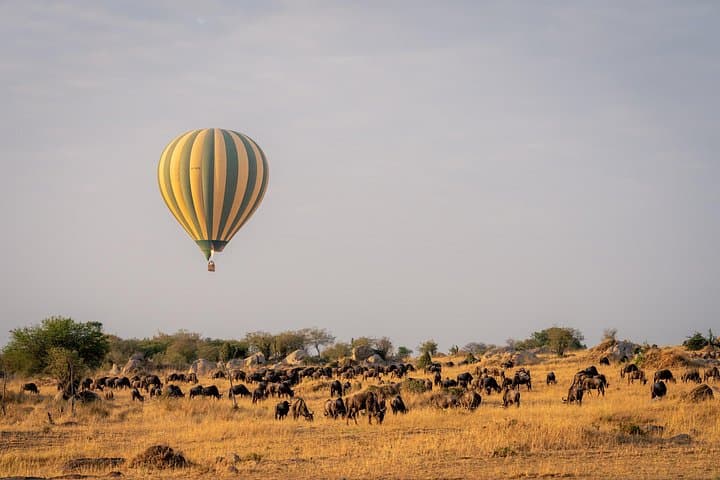 10-Day Private Camping Safari: Great Migration, Ol Doinyo Lengai & Ngorongoro photo 6
