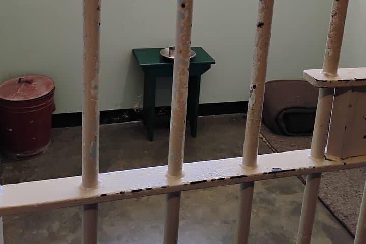 Robben Island Half-Day Ferry Tour: History, Wildlife & Practical Tips photo 3