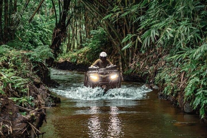 ATV to Gorilla Cave, Tegenungan Waterfall & Monkey Forest — Ubud Full-Day Adventure photo 6