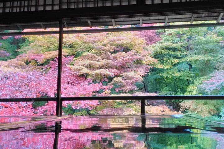 Custom Private Kyoto Tour: Expert Local Guide for Half- or Full-Day Exploration photo 6