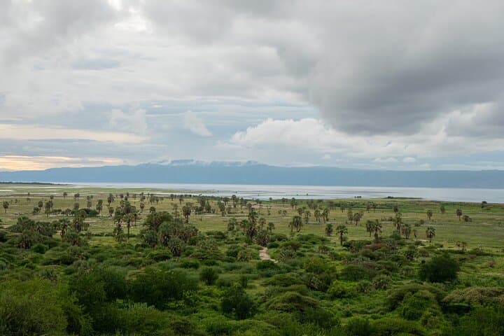 Day Trip to Lake Eyasi: Meet the Hadzabe & Datoga on a 4WD Cultural Safari photo 2
